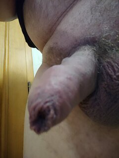 IMG_20241014_051304.jpg