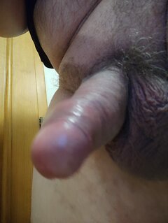 IMG_20241014_051310.jpg