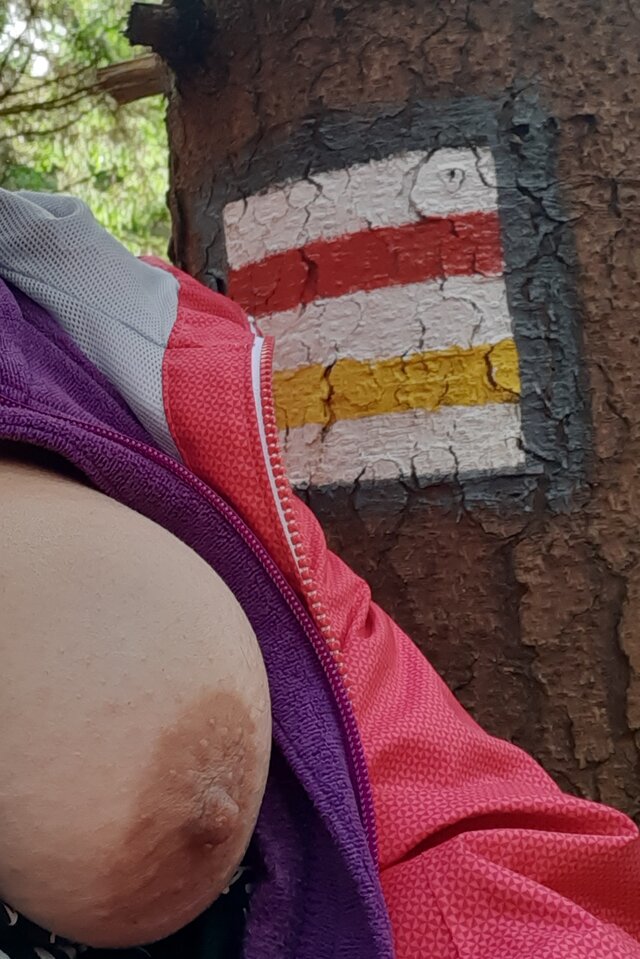cykcykada