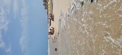 20230828_125528.jpg
