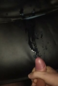 IMG_20241015_121318_878.jpg