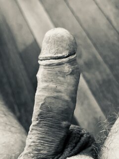 IMG_1369.jpeg
