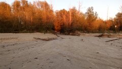 IMG_20241016_172215_552.jpg