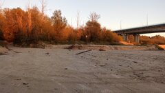 IMG_20241016_172219_047.jpg