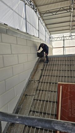 IMG_6284.jpeg