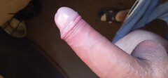 IMG_20241009_111330.jpg