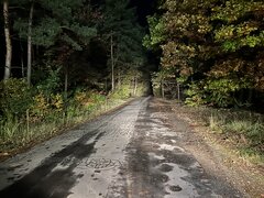 IMG_1311.jpeg