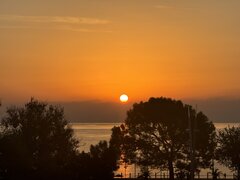 IMG_3165.jpeg