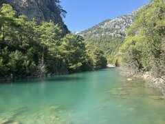 IMG_3172.jpeg