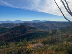 IMG-20241019-WA0017.jpg