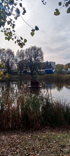 IMG_20241020_112016_017.jpg