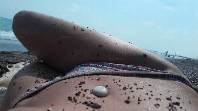 2_tygryski