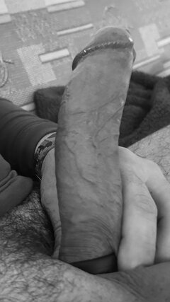 IMG_2646.jpeg