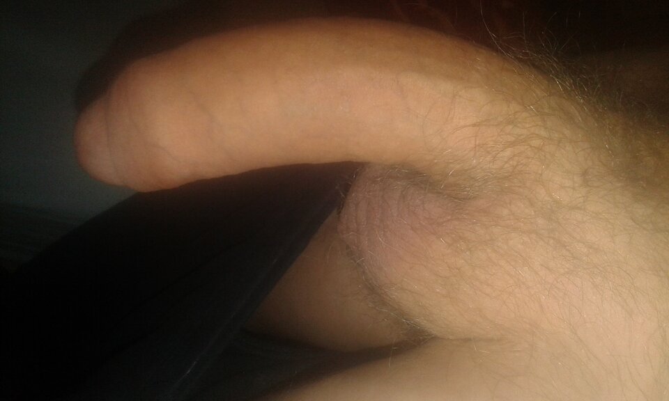 20241022_054924.jpg - 11igor11