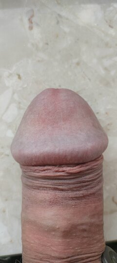 1000024027.jpg