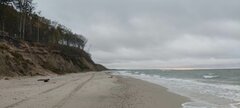 IMG_20251007_166037.jpg