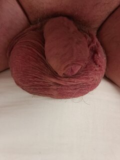 IMG_20241022_162007_977.jpg