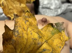 IMG_2372.jpeg