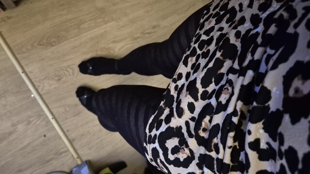 Longlegs40