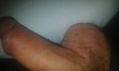 20241025_060528.jpg