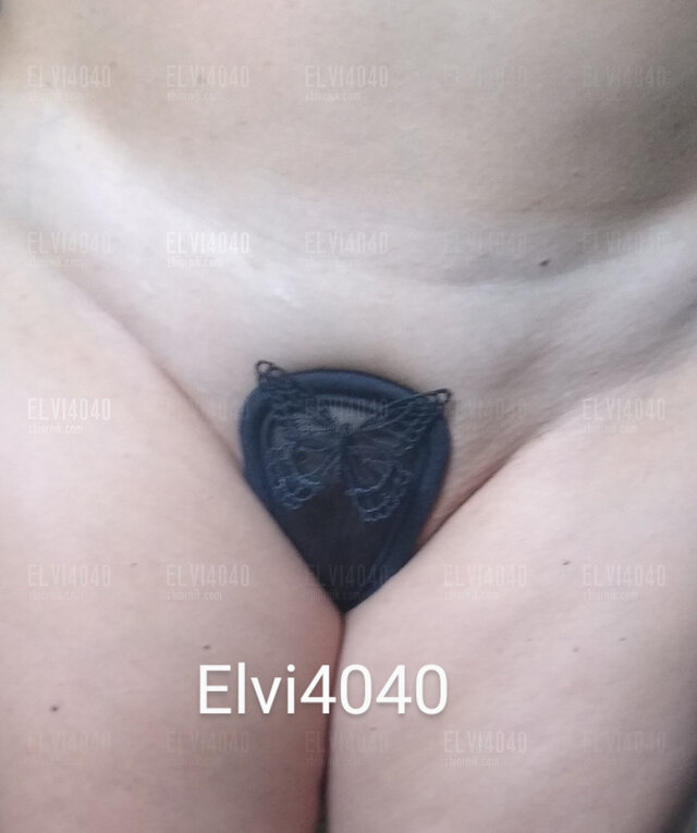 elvi4040