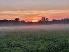 20200914_184146.jpg