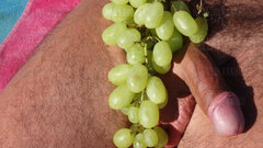 DSC00795.JPG