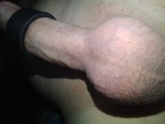 IMG_20241026_211533022.jpg
