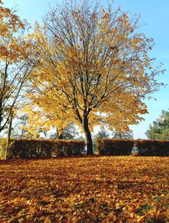20241027_122507.jpg