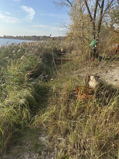 IMG_1489.jpeg