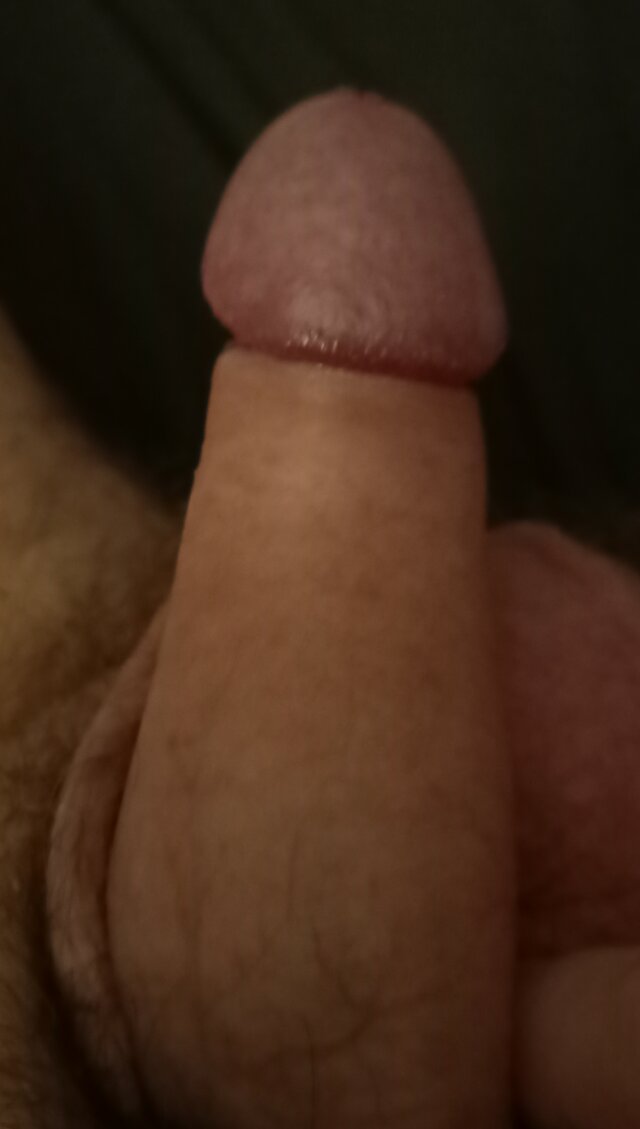 pellt
