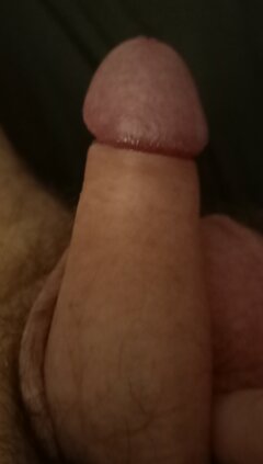 IMG_20241028_212746_858.jpg