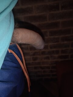 IMG_20241029_170526581.jpg