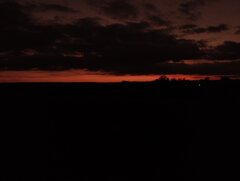 IMG_202052607.jpg