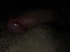 IMG_20241031_001035_751.jpg