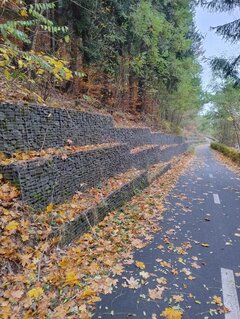 IMG_20241030_112233_01.jpg