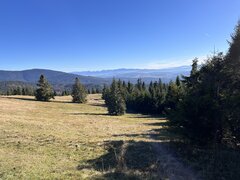 IMG_5323.jpeg