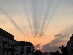 IMG_2649.jpeg