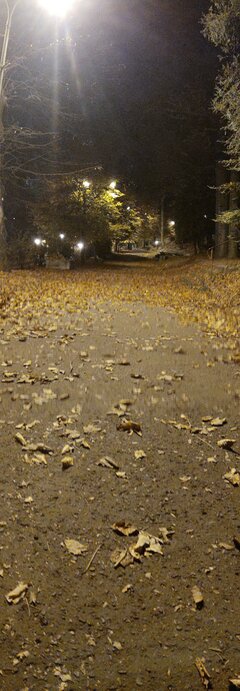IMG_20241029_193943270.jpg