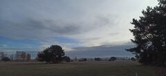 IMG_20241103_082916.jpg