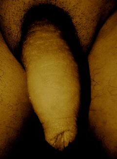 1000043486.jpg
