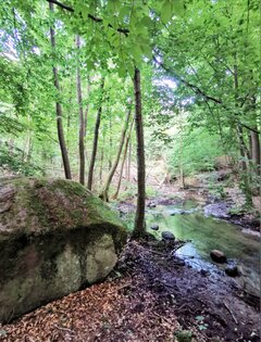IMG_20201229_201230.jpg