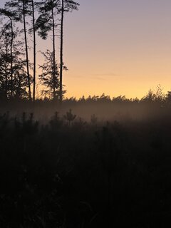 IMG_9969.jpeg