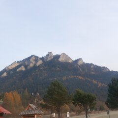 1000008636.jpg