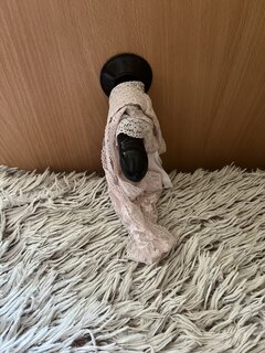 IMG_7883.jpeg