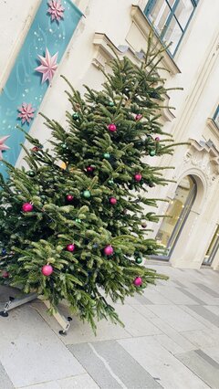 IMG_9196.jpeg