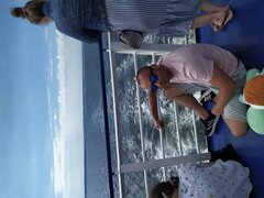 IMG_20240815_133658.jpg