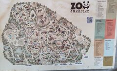 IMG_20241110_164606.jpg