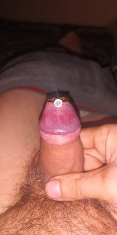 IMG_20241111_030659_218.jpg