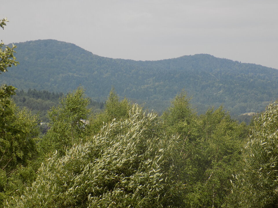 DSCN4398.JPG - arczi42
